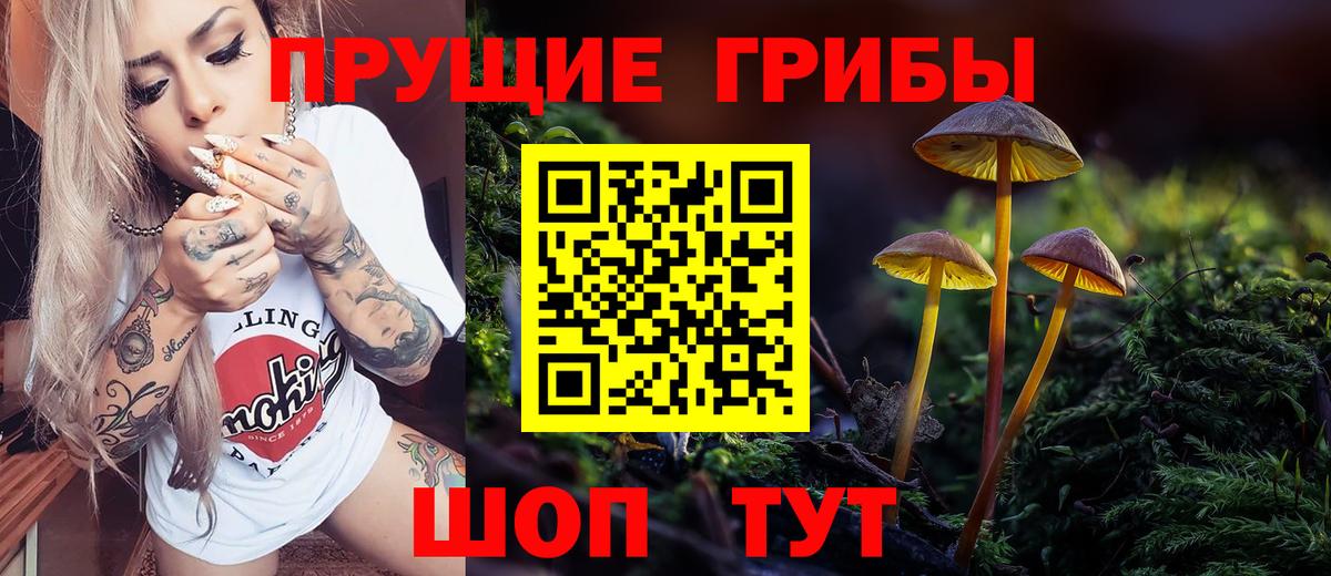 Псилоцибиновые грибы MAGIC MUSHROOMS Щёлково