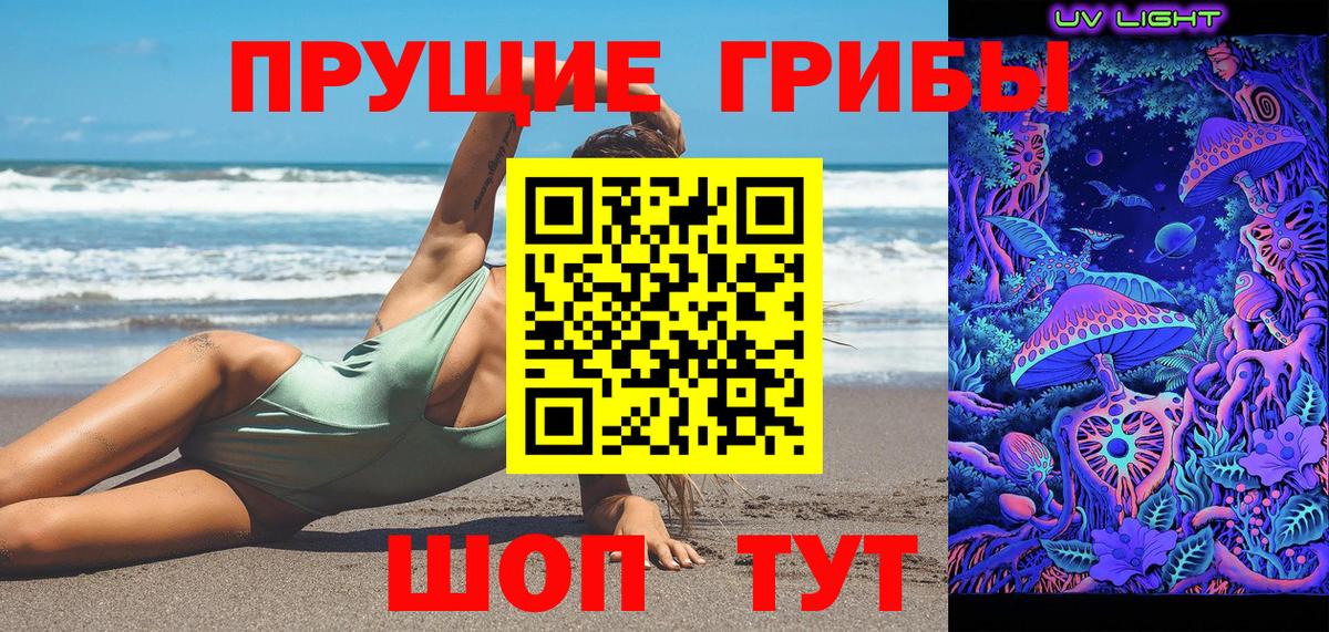 Галлюциногенные грибы GOLDEN TEACHER  Вход с VPN  Галлюциногенные грибы MAGIC MUSHROOMS  Щёлково 
